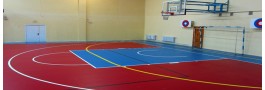 Taraflex Recreation 60